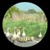 LindylooR10 (@linrich182701) Twitter profile photo LindylooR10 (@linrich182701) Twitter profile photo