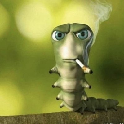 Fantasticniggah's profile picture. 