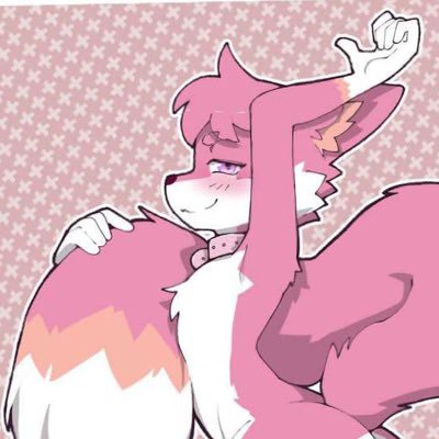 PinkytheFolf's profile picture. 