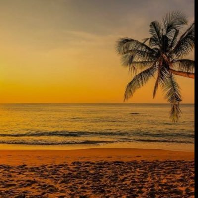 emnxyz's profile picture. 🚗✈️ 🗣️$ 🇹🇷