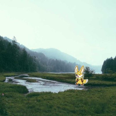 nagaiwaaa's profile picture. Sahara #0247615