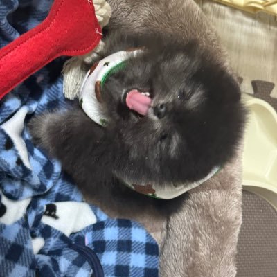 PieDay_1231's profile picture. 