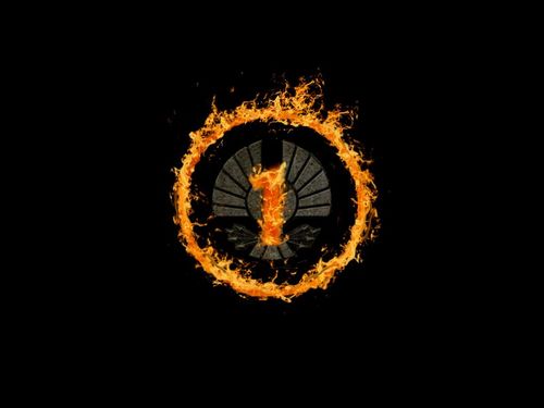 THGTheBeginning's profile picture. An upcoming web series made BY fans, FOR fans, about the First Annual #HungerGames. Will the odds be in your favor? #DWTC #PanemResistance #teamfollowback