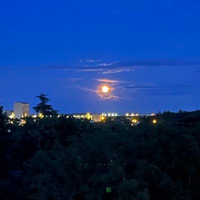 69Molam's profile picture. 