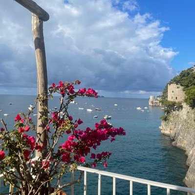 lanikaibee's profile picture. 