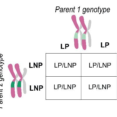 bots_loving's profile picture. 