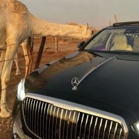 يوسف الشهري (@hgdhf12251) 's Twitter Profile