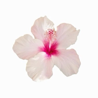 yeg_mimi's profile picture. 🇻🇳 | #alanisaresuperior