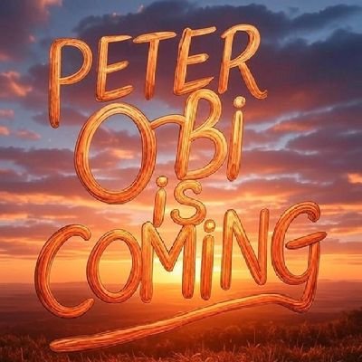 Influencer, graphics designer, social media manager, Logistics & Transport, Clearing & Forwarding, Import & Export, Business man, Peter Obi’s core supporter.