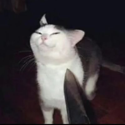 Kyuusann2930638's profile picture. 