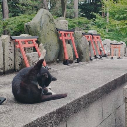 タソ📻️ラジステ武道館㊗️さんのプロフィール画像