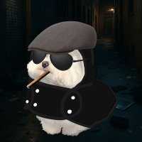 Man of INTEGRITY (@johnny90smith90) 's Twitter Profile Photo Man of INTEGRITY (@johnny90smith90) 's Twitter Profile Photo