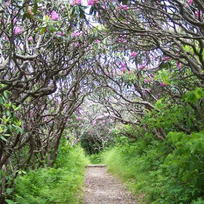 Richards416811J's profile picture. God Bless America!
Pro God, Family, and Guns (with proper training and background check.) 
Raised by a WWII veteran
Conservative
MAGA
No DMs
No Nonsense