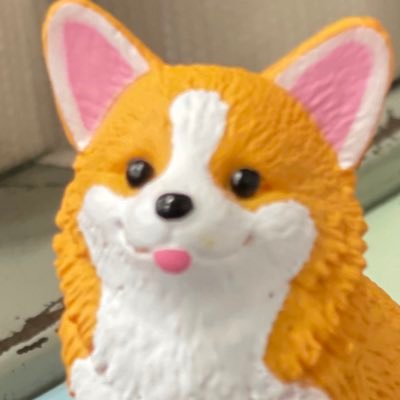 さとうたかりんさんのプロフィール画像