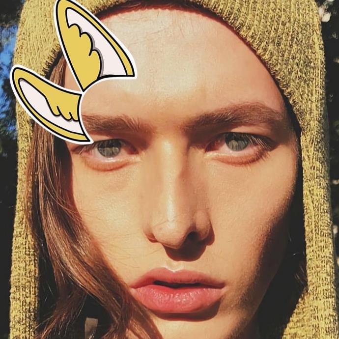 bizai10's profile picture. crypto miner | web3 builder |Sahara #0267169