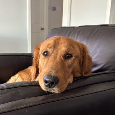 DanniLuna24528's profile picture. 