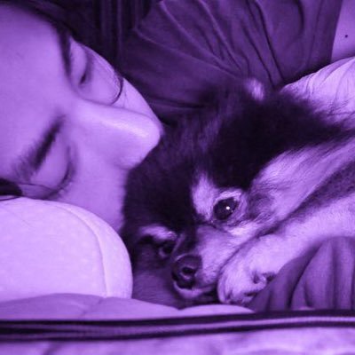 snowflower1052's profile picture. • fan account • ~ at the end of the day, i do not want to lose sight of myself 💜 ~