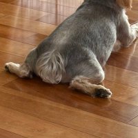 ふーか (@fu_ka8929) 's Twitter Profile Photo