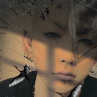 .pom (@snowangelpom1) 's Twitter Profile Photo .pom (@snowangelpom1) 's Twitter Profile Photo