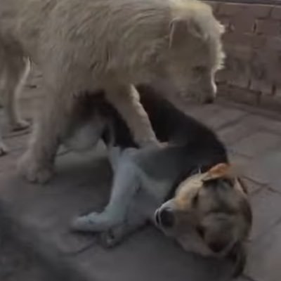 ragnakloth's profile picture. 