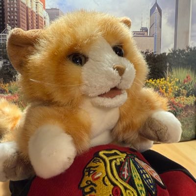 Just a cat puppet from Chicago. I like eating hog dogs & deep dish pizza, nap, nap some more, chase things, watching sports, staring at the wall. Cat things.