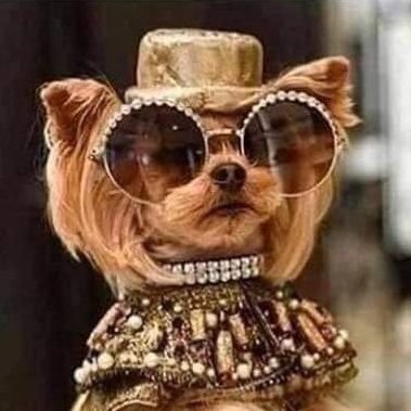 julie_navratil's profile picture. I am full of surprises...Go ahead...underestimate me...
That will be fun!