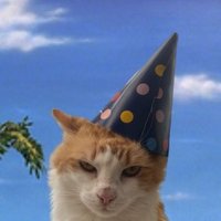 Steve (@0rangepussy) 's Twitter Profile