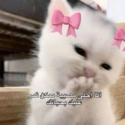 لا تُراهن على لين قلبي بهِ قسوة تُفزعني أحيانًا.🖤
Aquarius♒️