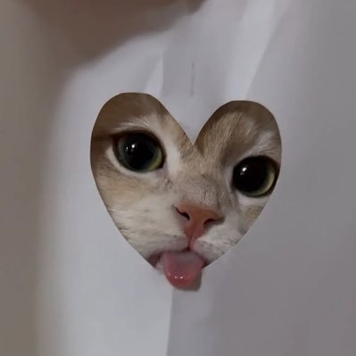 _skyinthelucy's profile picture. Si sos de Géminis, abstenerse.