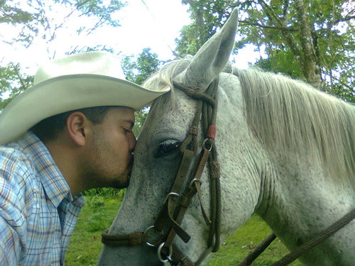 RoloVaquero Profile Picture