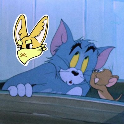 MilletNuviS's profile picture. Sahara #0255889