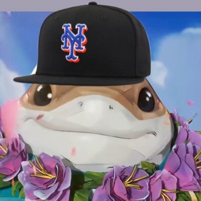 I tweet about the Mets, baseball cards, the MCU, dogs, video games, and memes. #LFGM