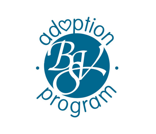Accredited adoption agency in Buffalo, New York. Call or text our counseling hotline 24/7 at (716) 799-3333.