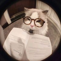 Miya and Books (@tbrmynemesis) 's Twitter Profile