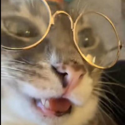 Courage_hi's profile picture. 