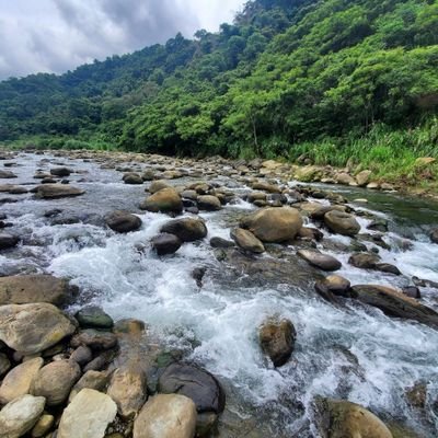 mou_tian72216's profile picture. 🙂