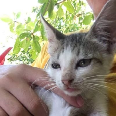 CarlosM52408858's profile picture.