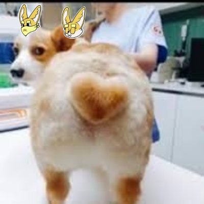 Djdjx93200753's profile picture. ＃币圈 一个时不时想找点漏洞赚钱，平时撸空投，冲冲土狗想暴富的90后大叔