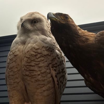 Helix_93gwn's profile picture. CG勉強中