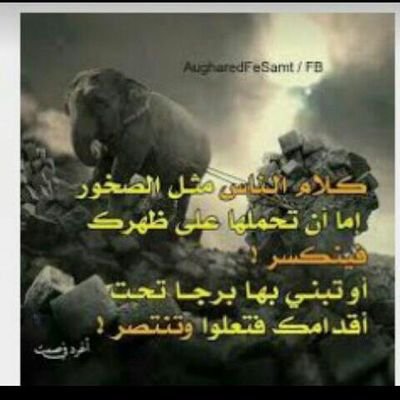 bdalftahahmd20's profile picture. 