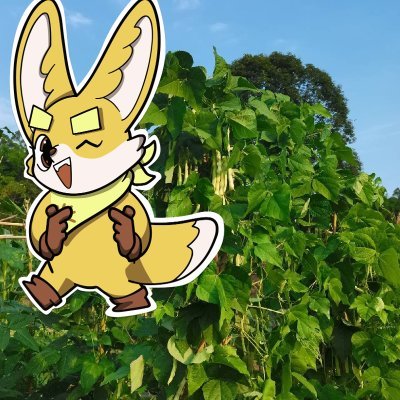 OrestePupy88001's profile picture. Decentralized app builder managing digital assets
Sahara #0250524