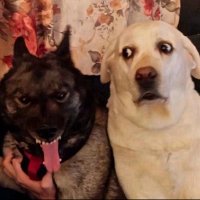 fent enjoyer (@igotaleangutt_) 's Twitter Profile Photo fent enjoyer (@igotaleangutt_) 's Twitter Profile Photo