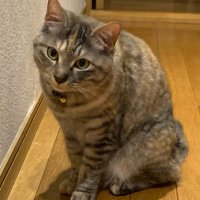☾ (@__sora_09) 's Twitter Profile
