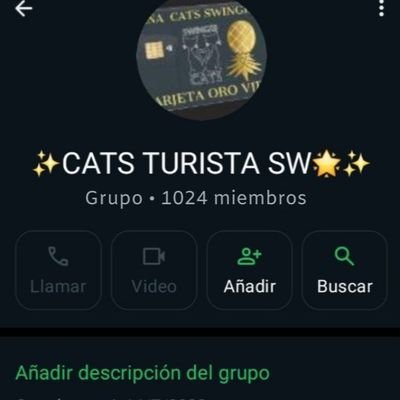 parejas81578631's profile picture. Pareja Sw y organizadores de Reuniones y Eventos SW .Gusto por el Placer con parejas y chicas solas.  🍻🚫NO SINGLES🚫