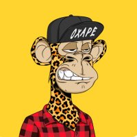 0xApes NFT (@0xap3s) 's Twitter Profile