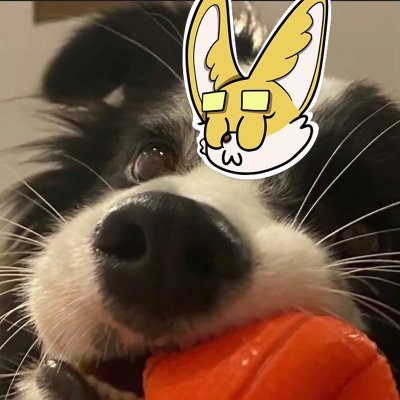 AugerAaron30360's profile picture. DAO founder curating NFT collections
Sahara #0257900