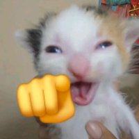 Spectrum (@spectrumval) 's Twitter Profile