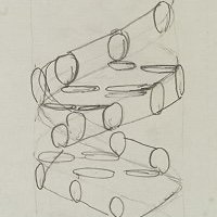 synapse_surfer's profile picture. immunology is the answer