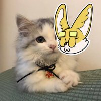 Asdbioa Inakoa🔆π² (@asdbioa73295) 's Twitter Profile