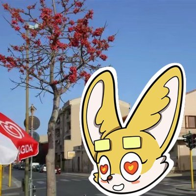 Rgdxcc0Rg's profile picture. Blockchain believer harvesting sustainable returns
Sahara #0226730